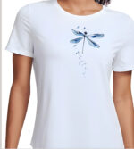 Beautiful dragonfly